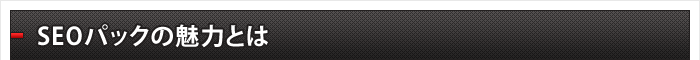 SEOパックの魅力とは